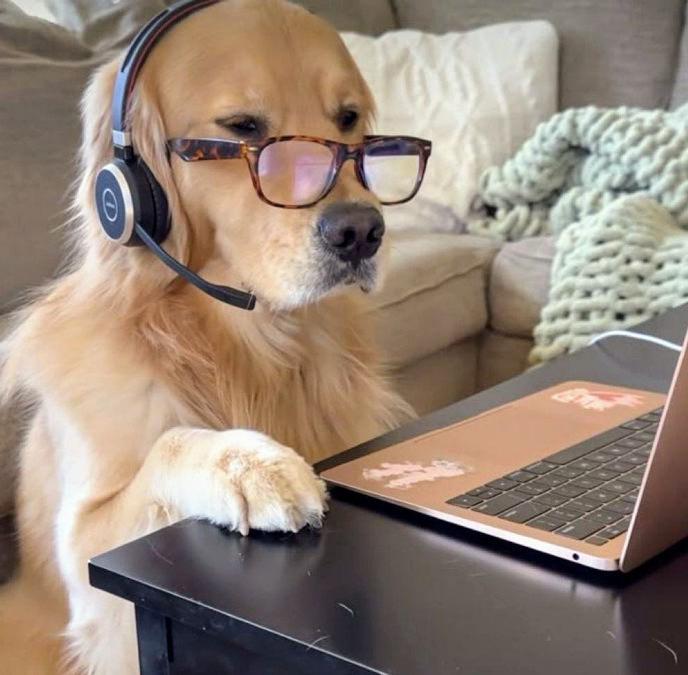 Tell us about your dog